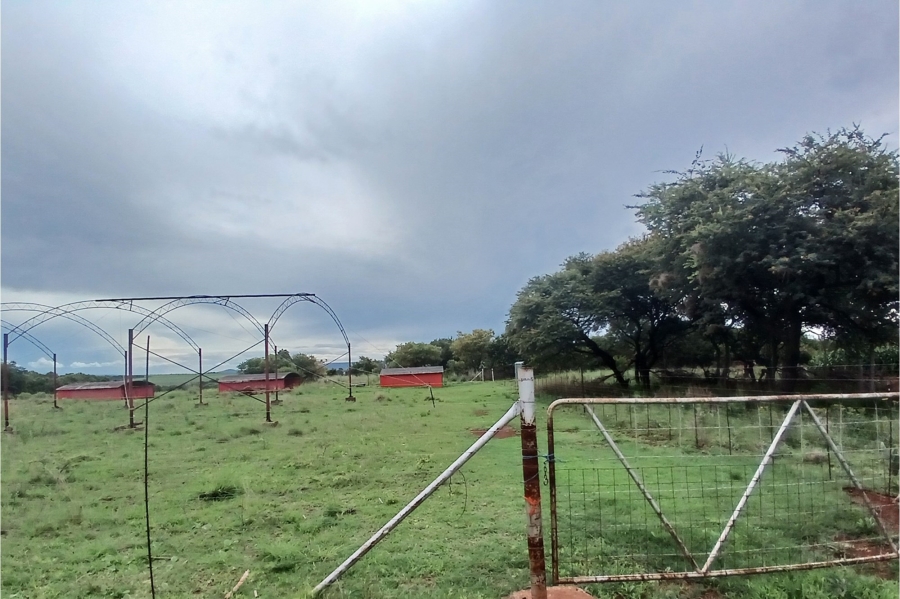 0 Bedroom Property for Sale in Roossenekal Limpopo