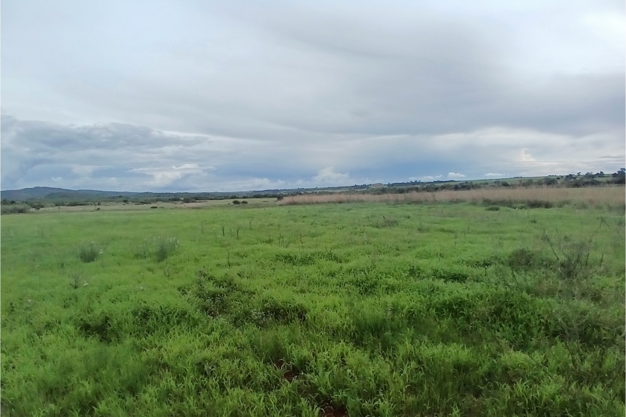0 Bedroom Property for Sale in Roossenekal Limpopo