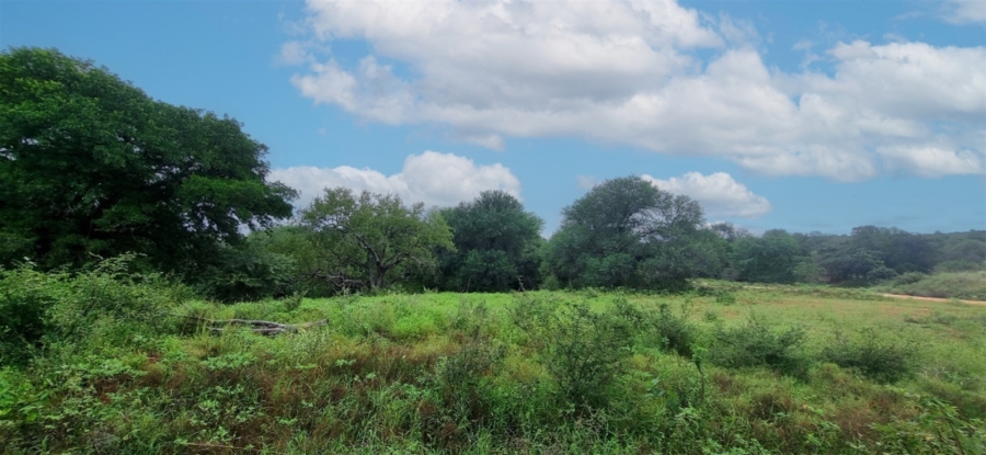 Commercial Property for Sale in Elephant Rock Eco Estate Limpopo
