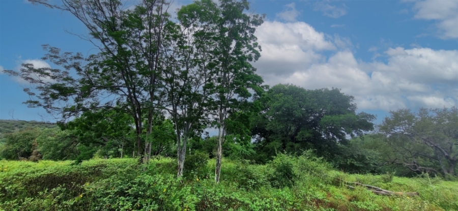 Commercial Property for Sale in Elephant Rock Eco Estate Limpopo