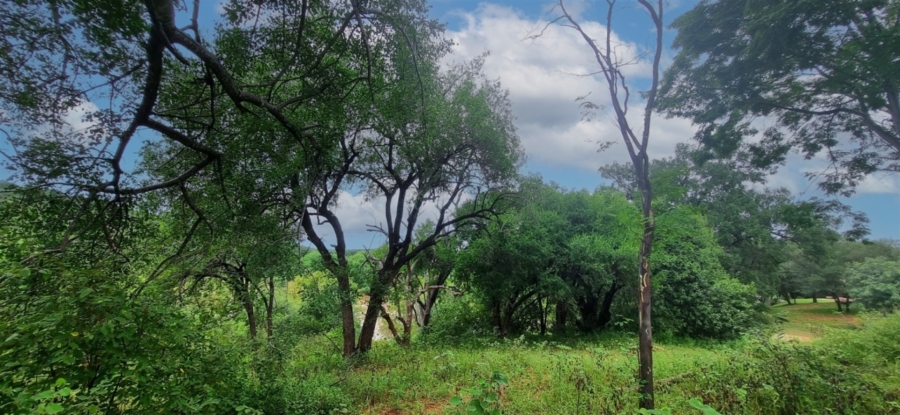 Commercial Property for Sale in Elephant Rock Eco Estate Limpopo
