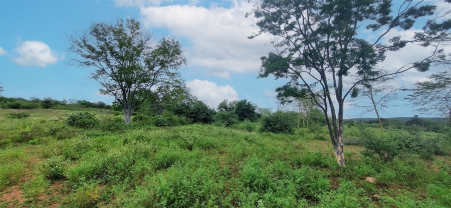 Commercial Property for Sale in Elephant Rock Eco Estate Limpopo
