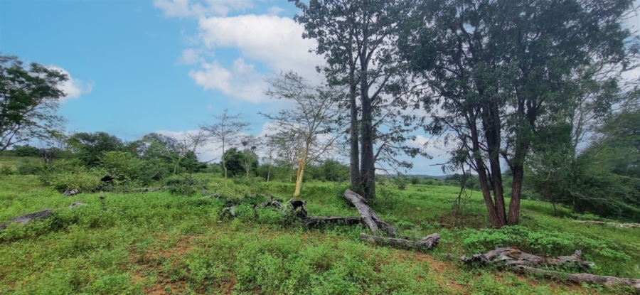 Commercial Property for Sale in Elephant Rock Eco Estate Limpopo