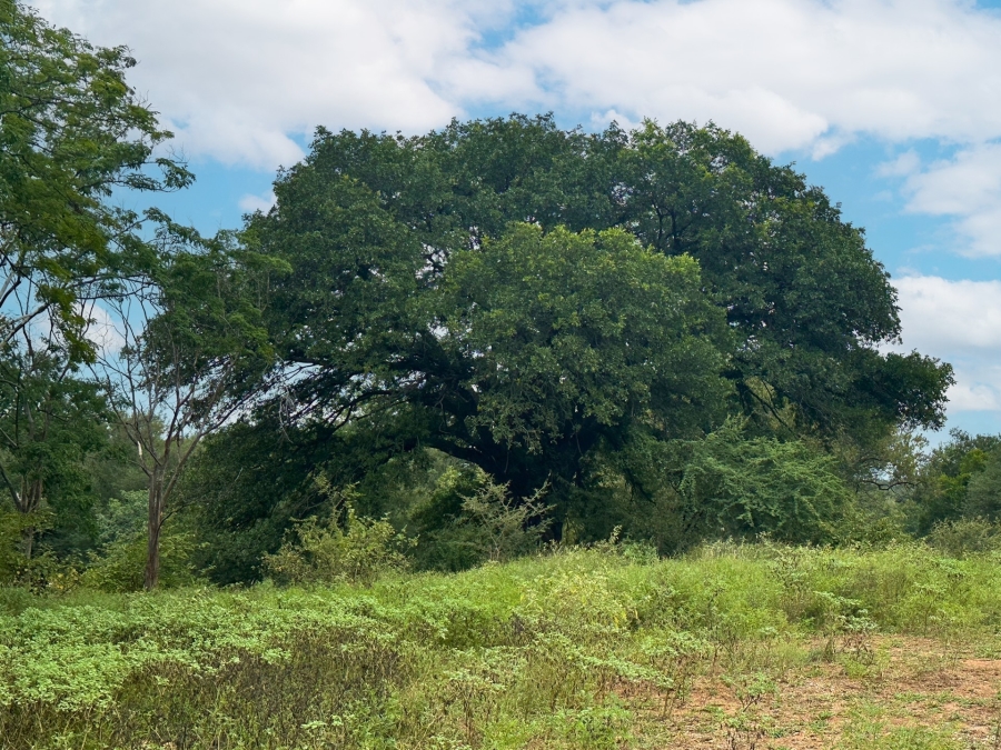 Commercial Property for Sale in Elephant Rock Eco Estate Limpopo