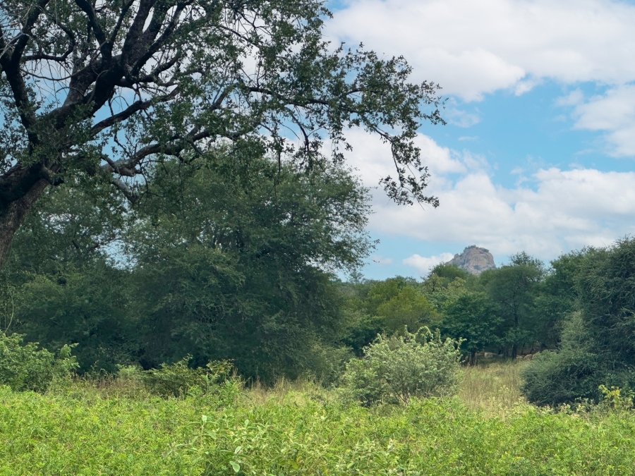 Commercial Property for Sale in Elephant Rock Eco Estate Limpopo