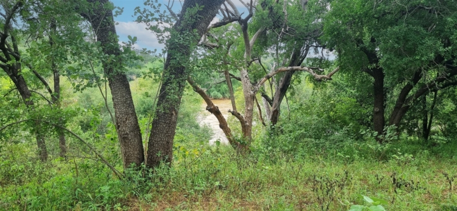 Commercial Property for Sale in Elephant Rock Eco Estate Limpopo