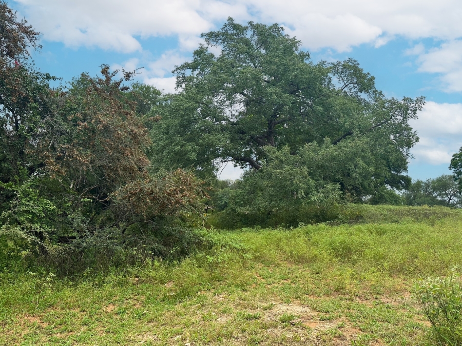 Commercial Property for Sale in Elephant Rock Eco Estate Limpopo