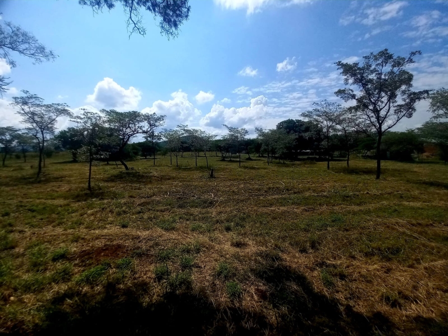 0 Bedroom Property for Sale in Bela Bela Limpopo