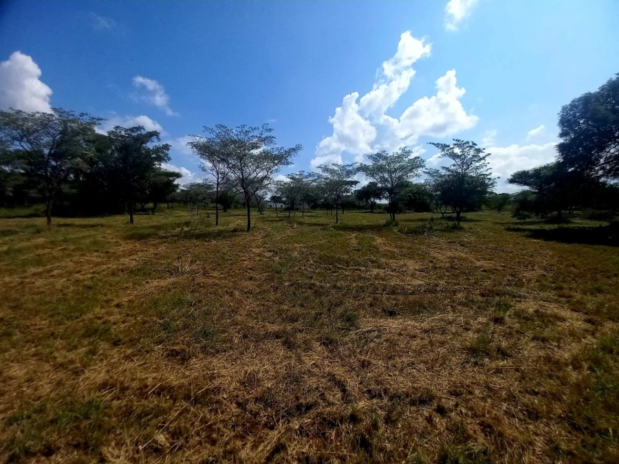 0 Bedroom Property for Sale in Bela Bela Limpopo