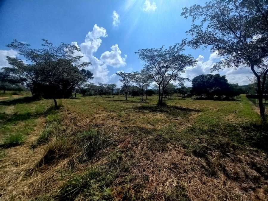 0 Bedroom Property for Sale in Bela Bela Limpopo