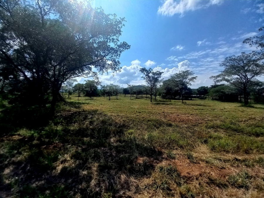 0 Bedroom Property for Sale in Bela Bela Limpopo