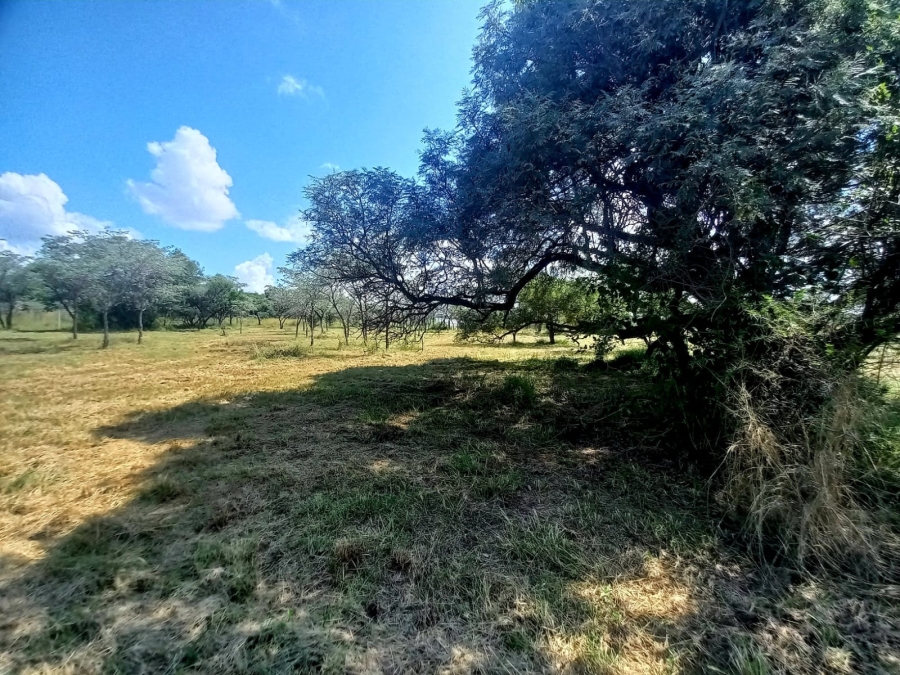 0 Bedroom Property for Sale in Bela Bela Limpopo