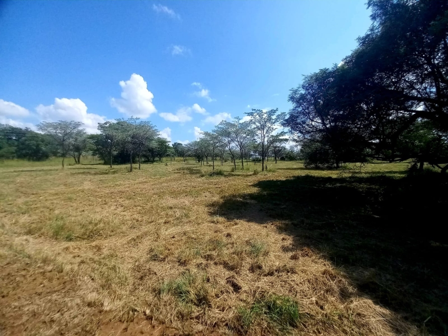 0 Bedroom Property for Sale in Bela Bela Limpopo