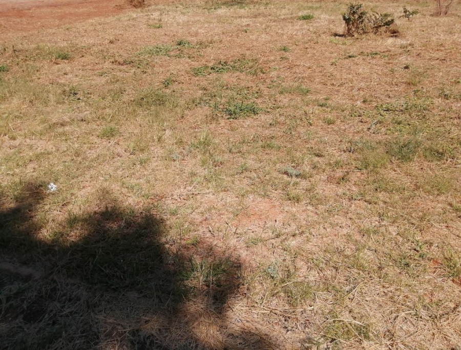 0 Bedroom Property for Sale in Bendor Limpopo