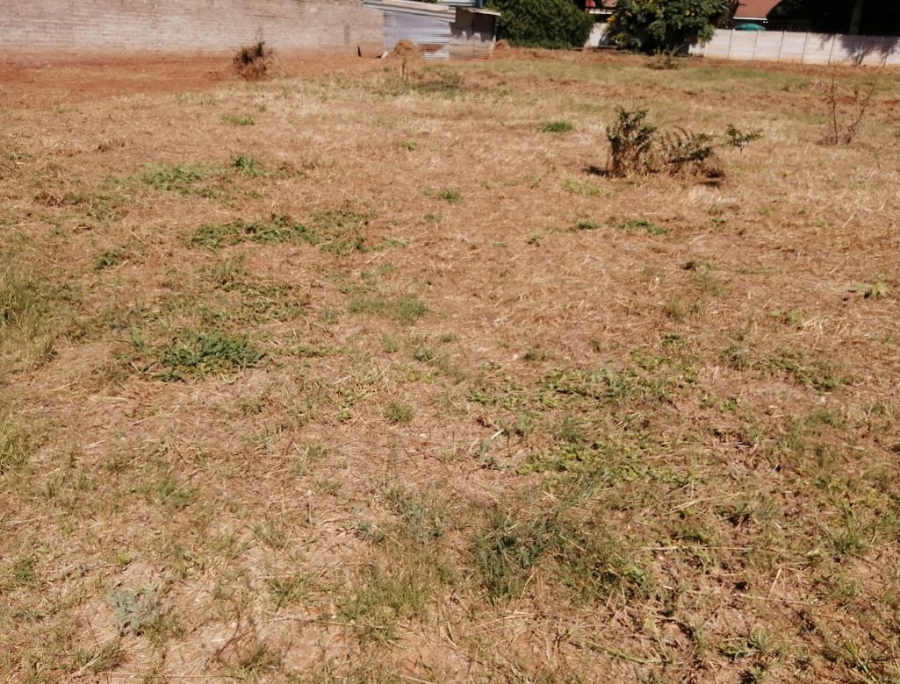 0 Bedroom Property for Sale in Bendor Limpopo