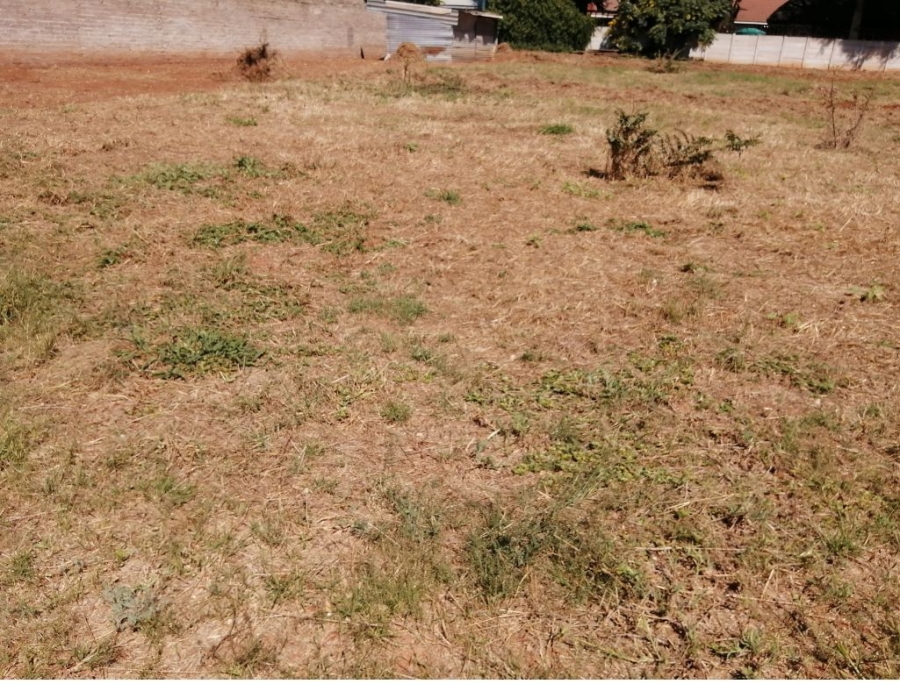 0 Bedroom Property for Sale in Bendor Limpopo