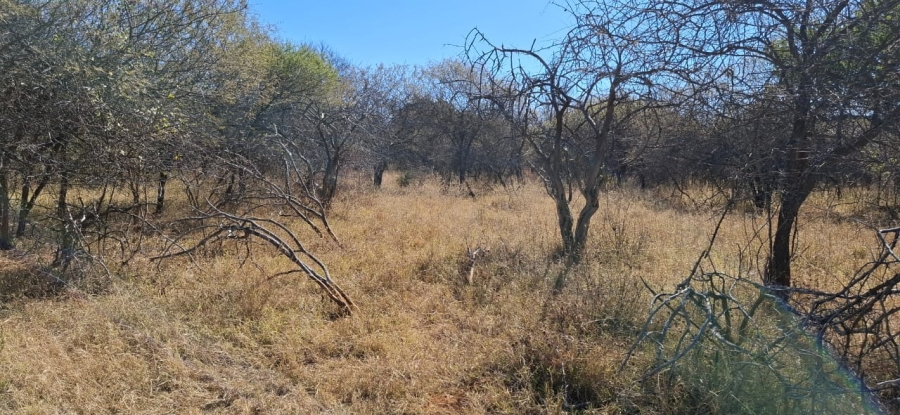 0 Bedroom Property for Sale in Bela Bela Limpopo