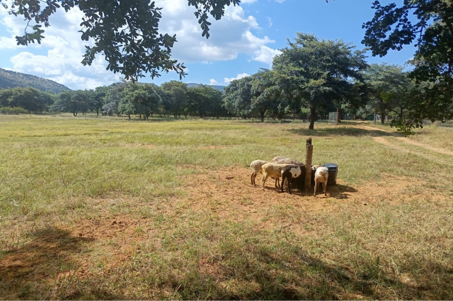 14 Bedroom Property for Sale in Maribashoek AH Limpopo