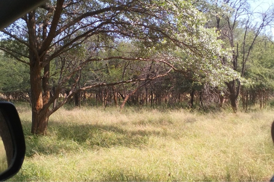 14 Bedroom Property for Sale in Maribashoek AH Limpopo