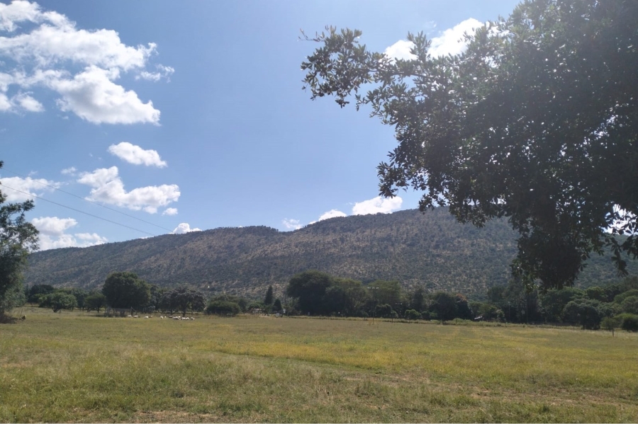 14 Bedroom Property for Sale in Maribashoek AH Limpopo