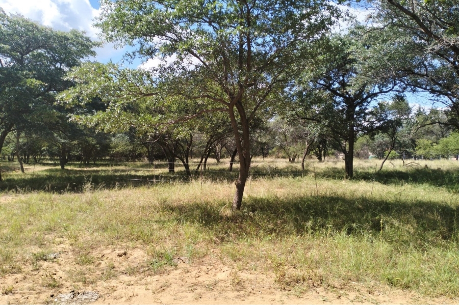14 Bedroom Property for Sale in Maribashoek AH Limpopo