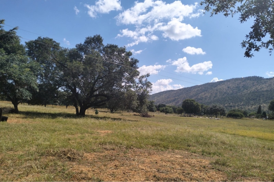 14 Bedroom Property for Sale in Maribashoek AH Limpopo