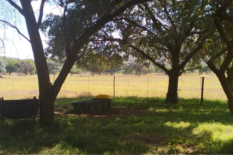 14 Bedroom Property for Sale in Maribashoek AH Limpopo