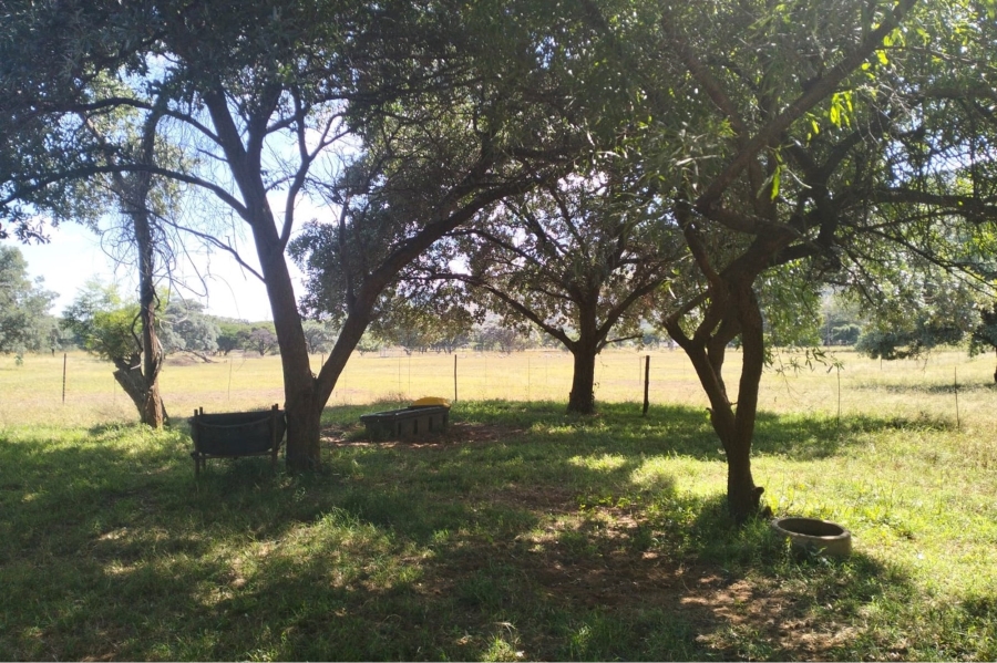 14 Bedroom Property for Sale in Maribashoek AH Limpopo