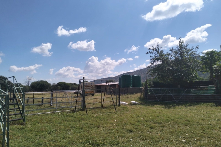 14 Bedroom Property for Sale in Maribashoek AH Limpopo