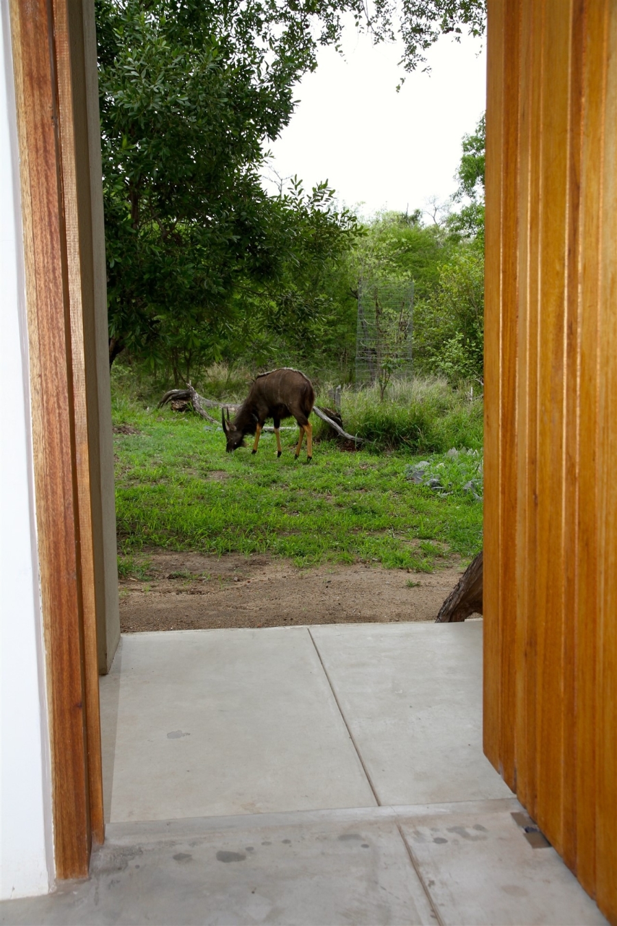 To Let 3 Bedroom Property for Rent in Moditlo Wildlife Estate Limpopo