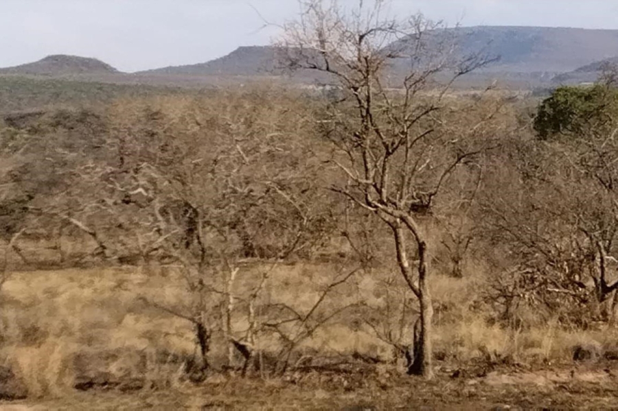 12 Bedroom Property for Sale in Mookgopong Limpopo