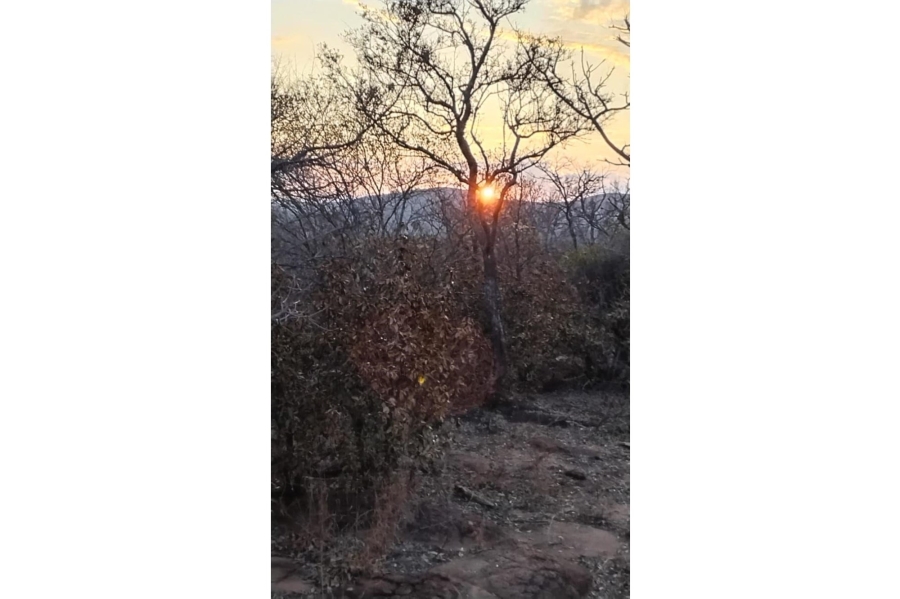 12 Bedroom Property for Sale in Mookgopong Limpopo