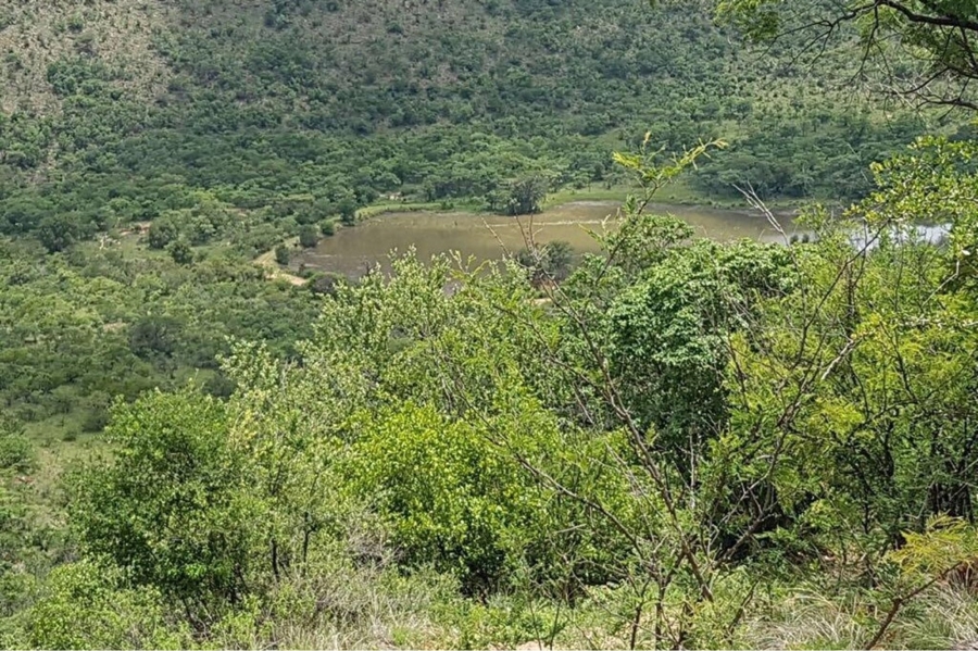 12 Bedroom Property for Sale in Mookgopong Limpopo