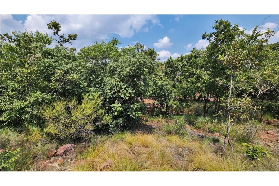 0 Bedroom Property for Sale in Modimolle Limpopo