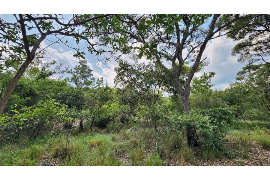 0 Bedroom Property for Sale in Modimolle Limpopo
