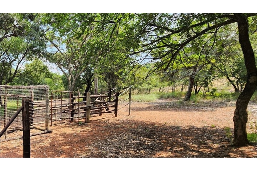 0 Bedroom Property for Sale in Modimolle Limpopo