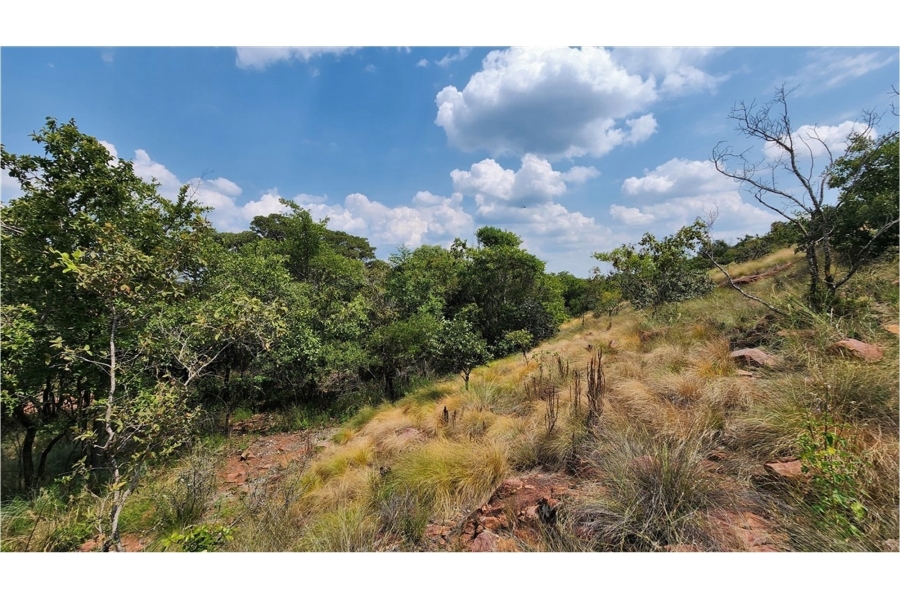 0 Bedroom Property for Sale in Modimolle Limpopo