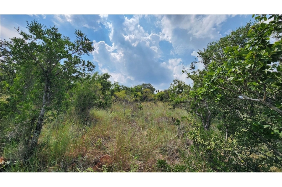0 Bedroom Property for Sale in Modimolle Limpopo