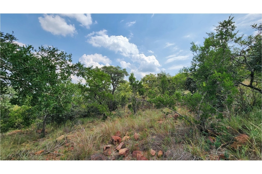 0 Bedroom Property for Sale in Modimolle Limpopo