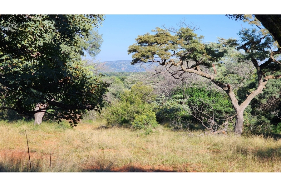 0 Bedroom Property for Sale in Intaba Indle Wilderness Estate Limpopo