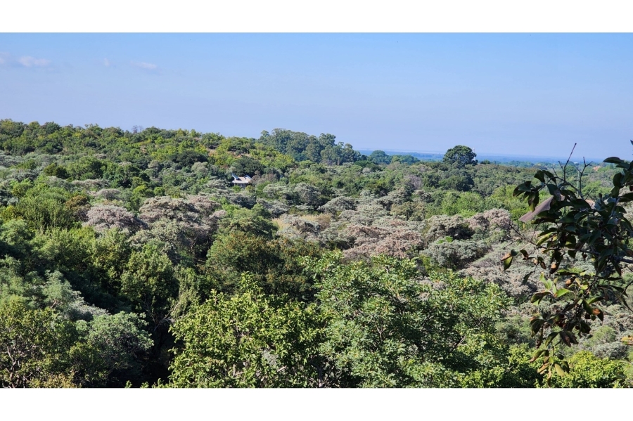 0 Bedroom Property for Sale in Intaba Indle Wilderness Estate Limpopo