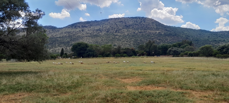 3 Bedroom Property for Sale in Mokopane Rural Limpopo