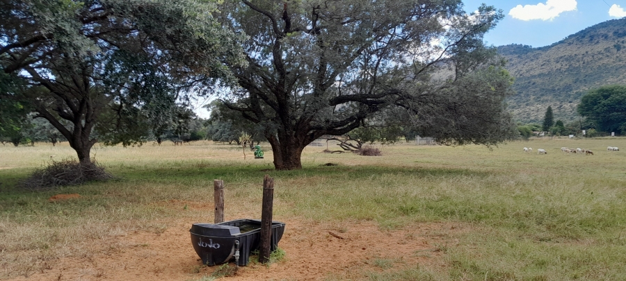 3 Bedroom Property for Sale in Mokopane Rural Limpopo