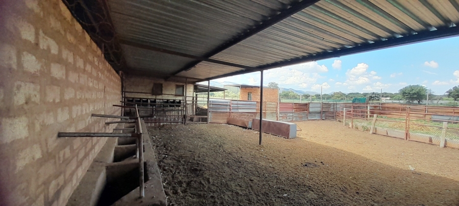 3 Bedroom Property for Sale in Mokopane Rural Limpopo