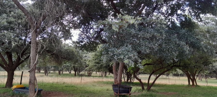3 Bedroom Property for Sale in Mokopane Rural Limpopo