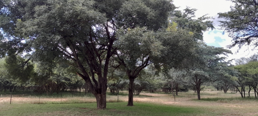 3 Bedroom Property for Sale in Mokopane Rural Limpopo