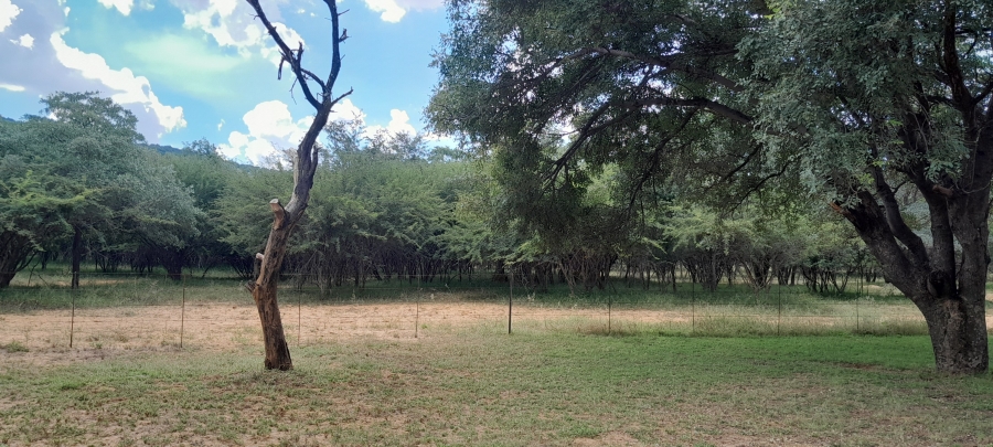 3 Bedroom Property for Sale in Mokopane Rural Limpopo