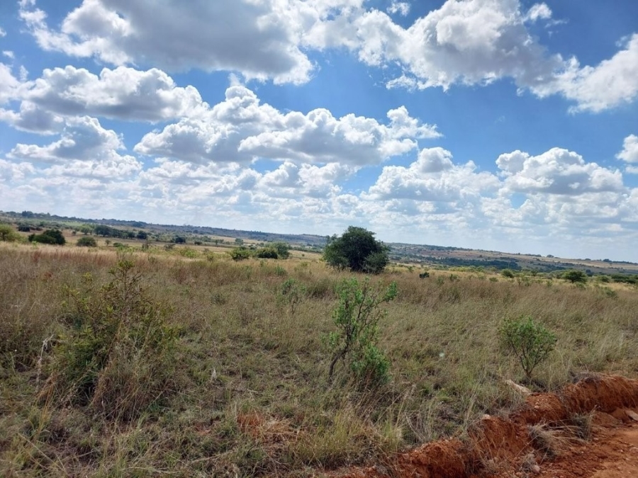 Commercial Property for Sale in Leeukuil AH Limpopo
