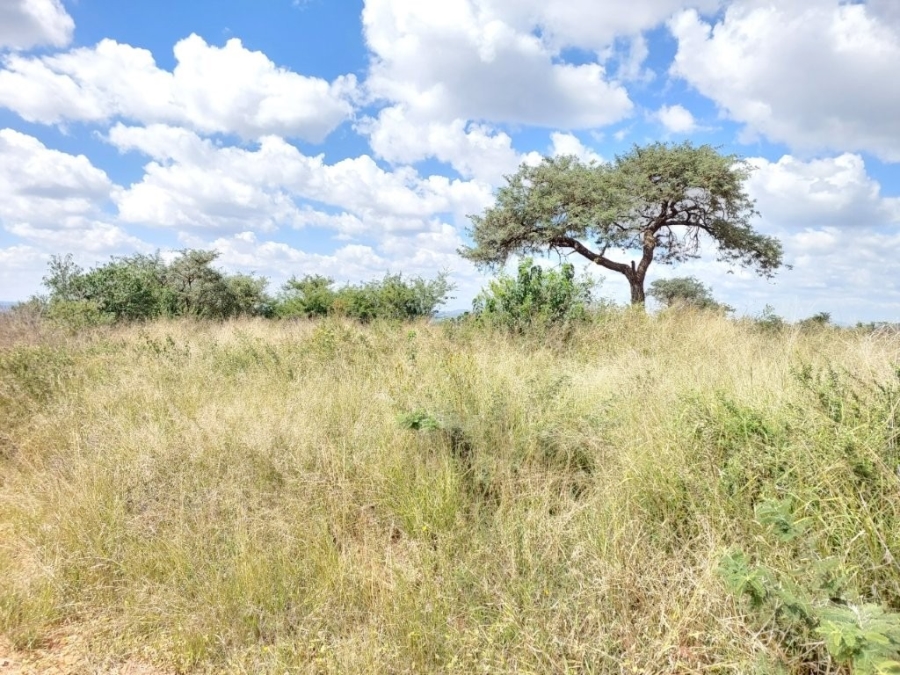 Commercial Property for Sale in Leeukuil AH Limpopo