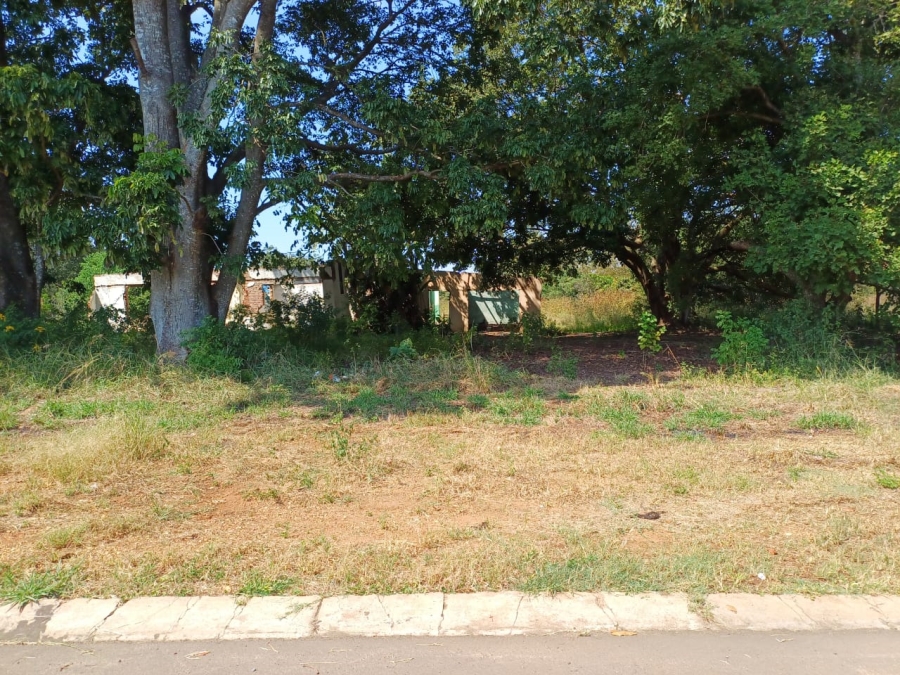 0 Bedroom Property for Sale in Louis Trichardt Limpopo